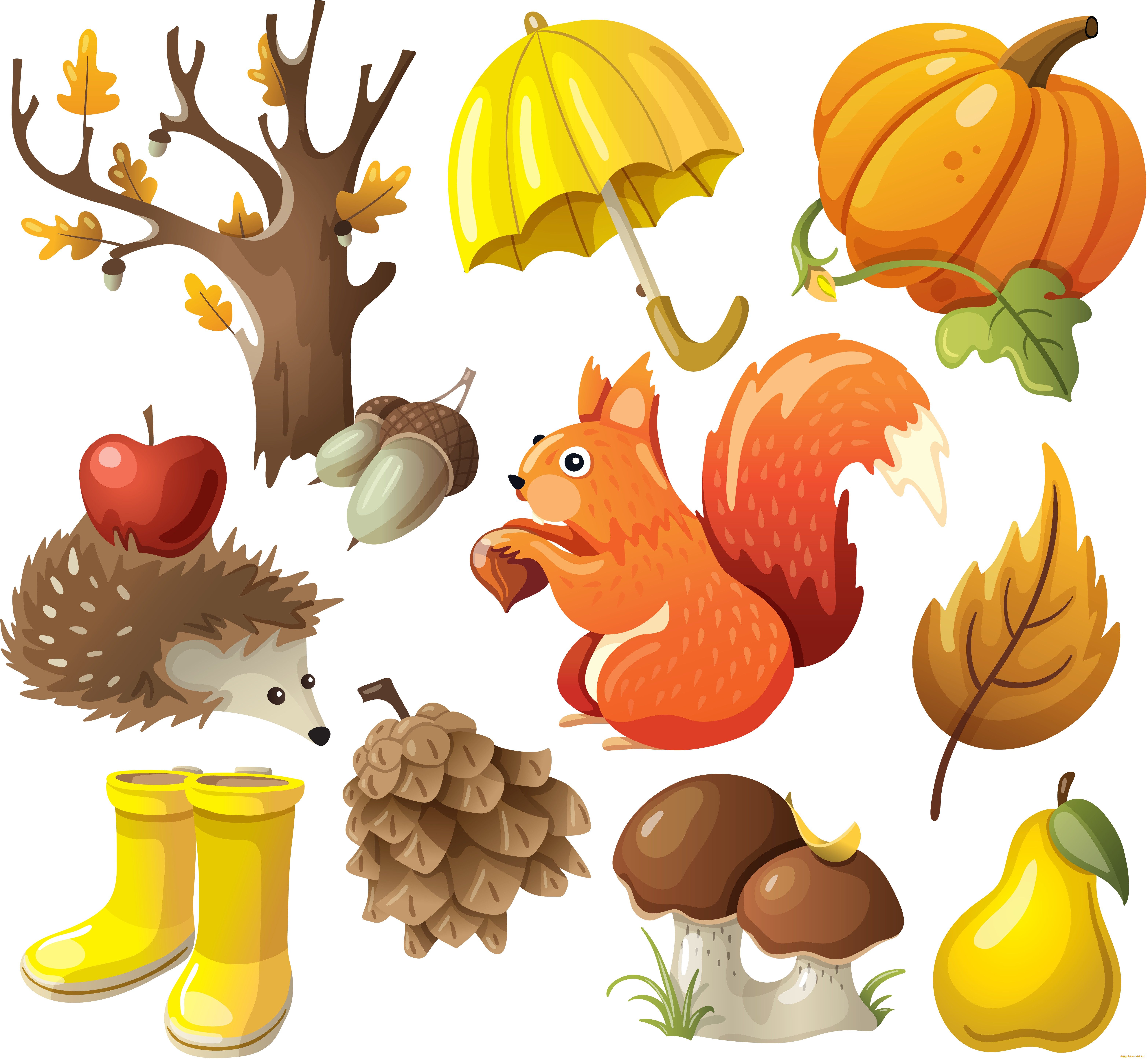 картинки животные осенью для детского сада